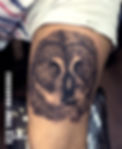 Owl Tattoo
